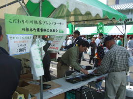 썪uhR[i[
